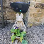 Wayside Farm Stable *
